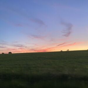 Meet your Posher, Maddy